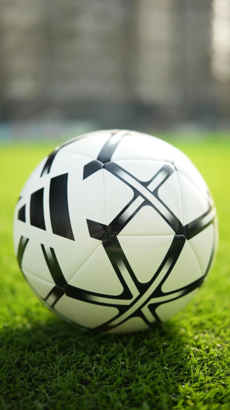 体育爱好者追踪赛事场景